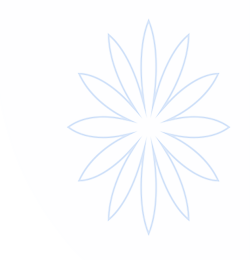 PP电子·(中国)官方网站
