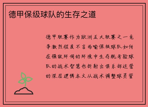 德甲保级球队的生存之道